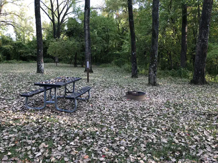 Cottonwood Campground/Coralville Lake (COE)