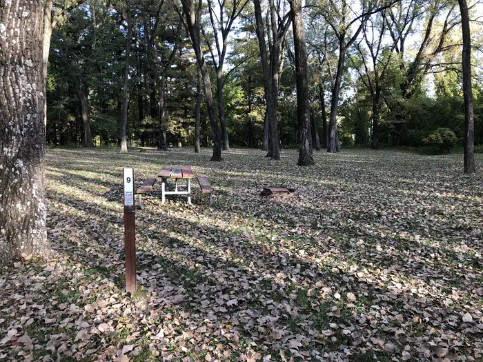 Cottonwood Campground/Coralville Lake (COE)