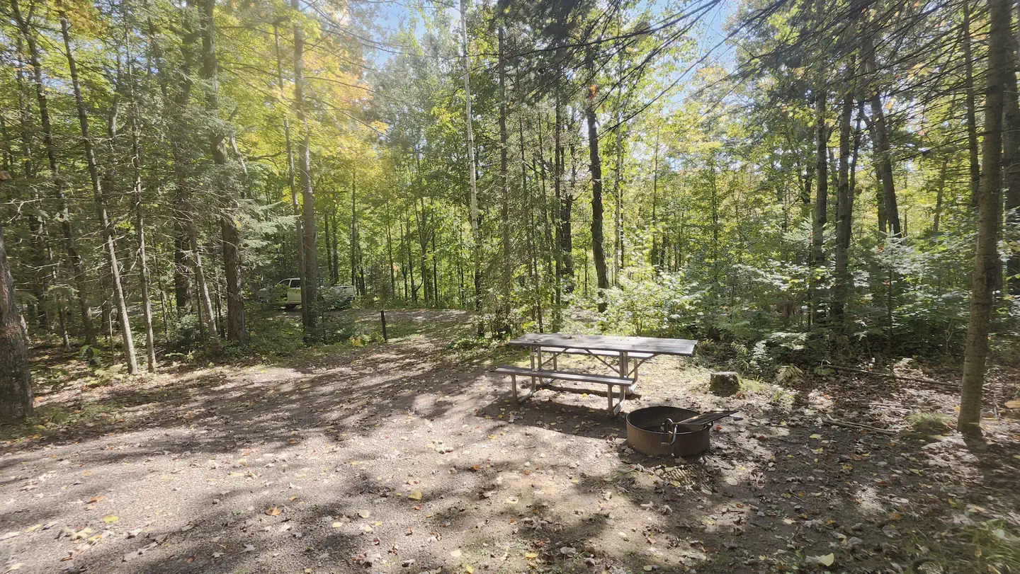 Beaver Lake (chequamegon-nicolet Nf, Wi)