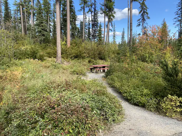 Lost Johnny Point Campground