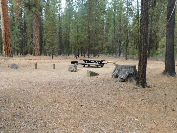 Gull Point Campground
