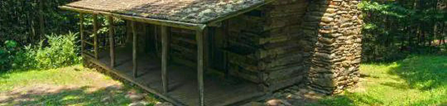 C1