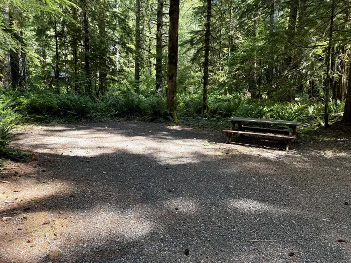 Satsop Center Campground