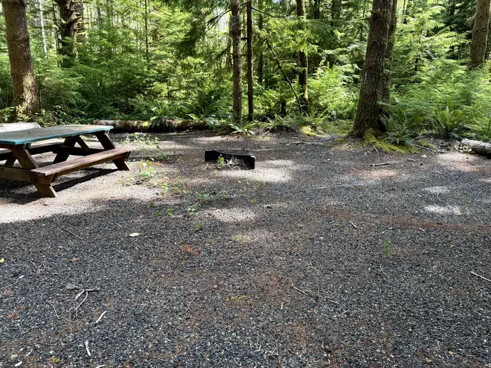Satsop Center Campground