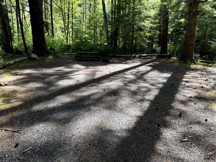 Satsop Center Campground