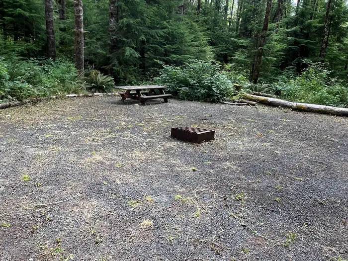 Satsop Center Campground