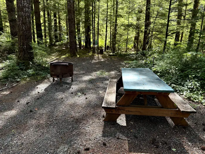 Satsop Center Campground