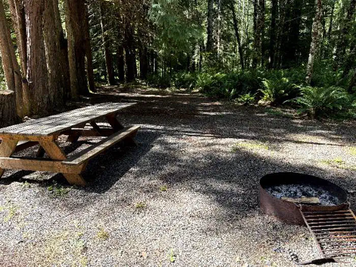 Satsop Center Campground