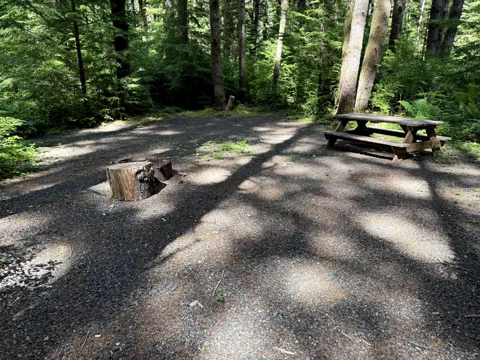 Satsop Center Campground