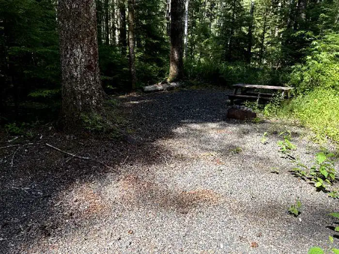 Satsop Center Campground