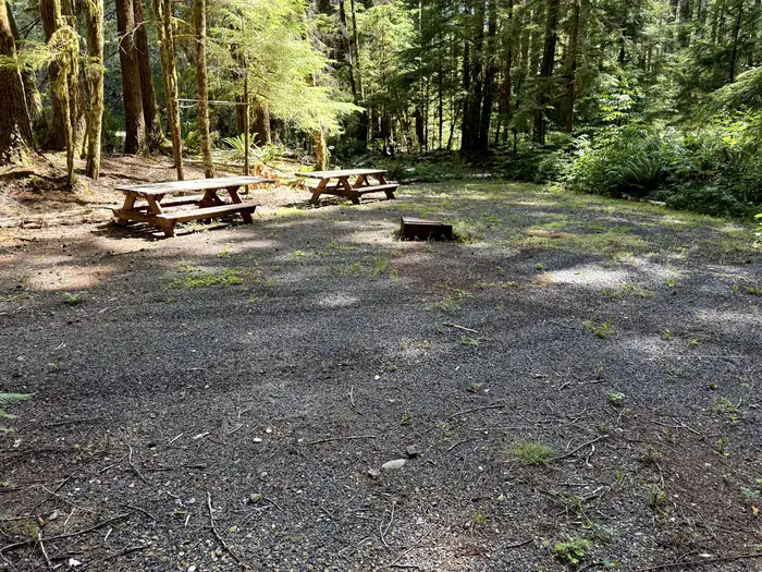Satsop Center Campground