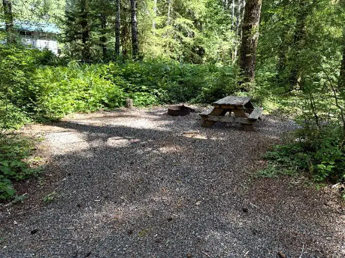 Satsop Center Campground