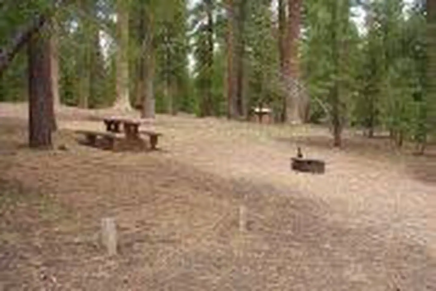 Butte Lake Campground