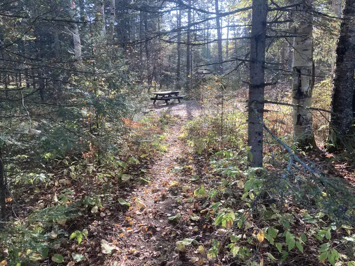 Mcdougal Lake Campground