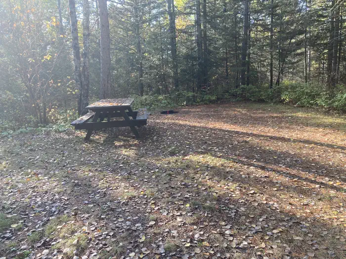 Mcdougal Lake Campground