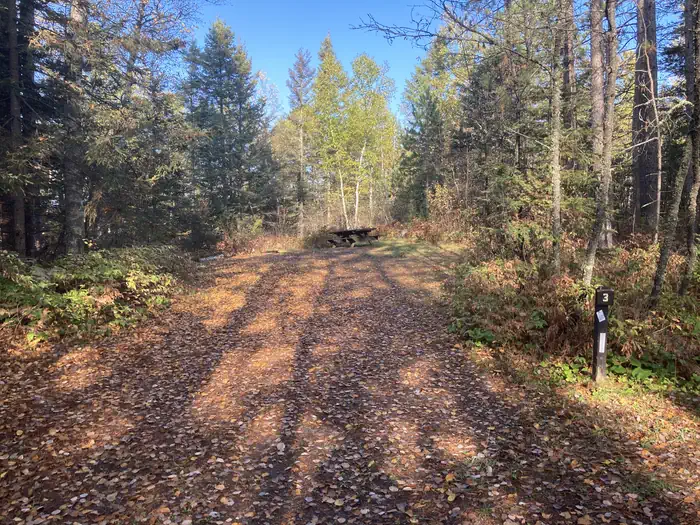 Mcdougal Lake Campground