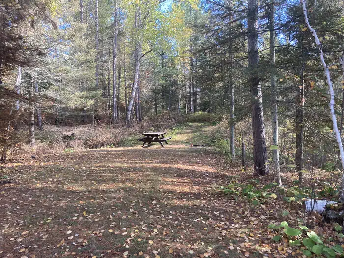Mcdougal Lake Campground