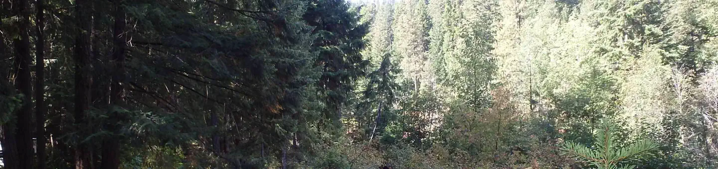 SAWMILL FLAT CAMPGROUND