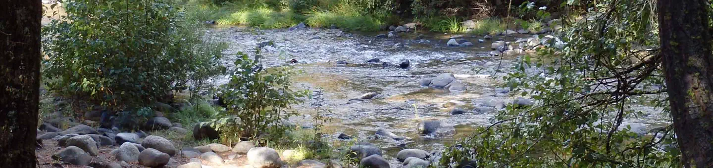 SAWMILL FLAT CAMPGROUND
