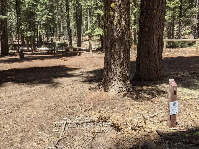 Horse Campground