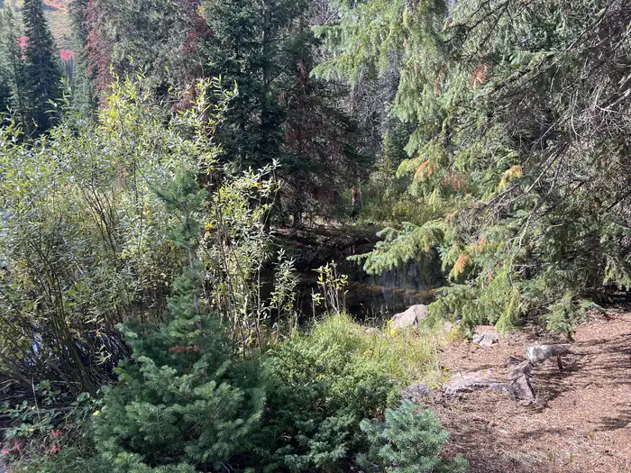 Ledgefork