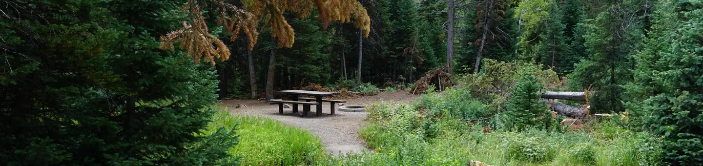 Ledgefork