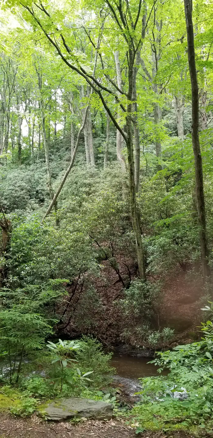 Rock Castle Gorge Backcountry Camping