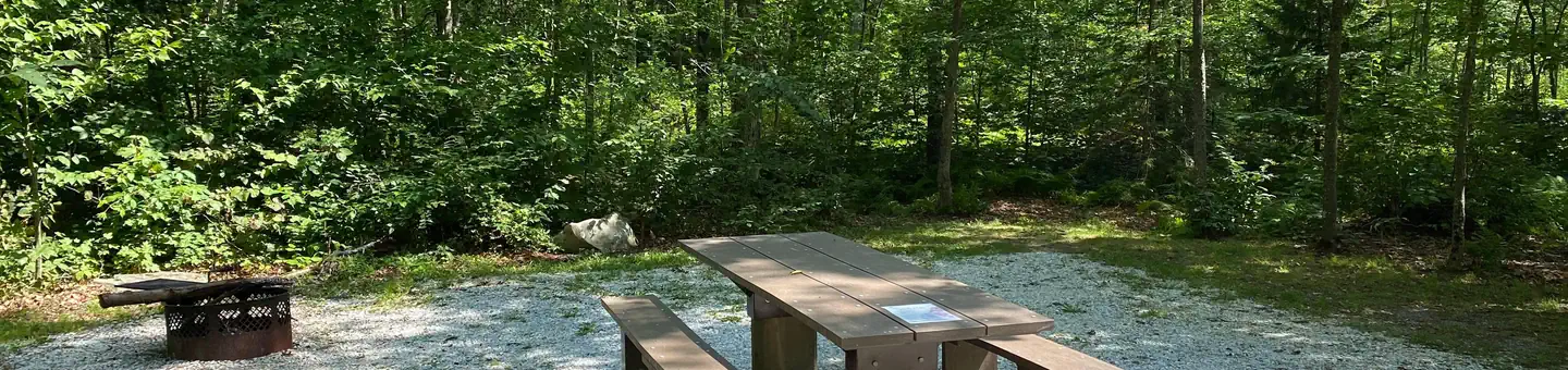 Moosalamoo Campground