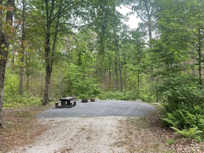 Moosalamoo Campground