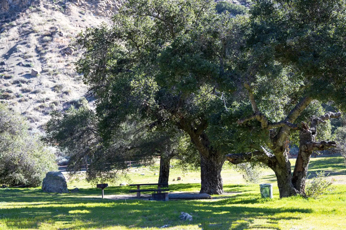 Upper Oso Campground