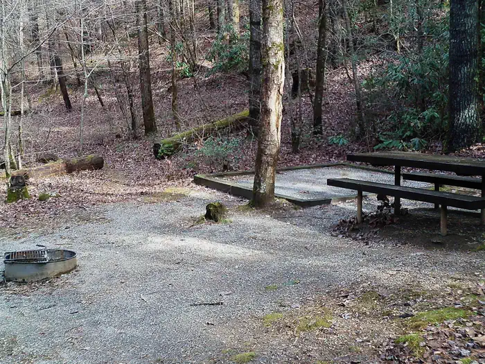 Tate Branch Campground