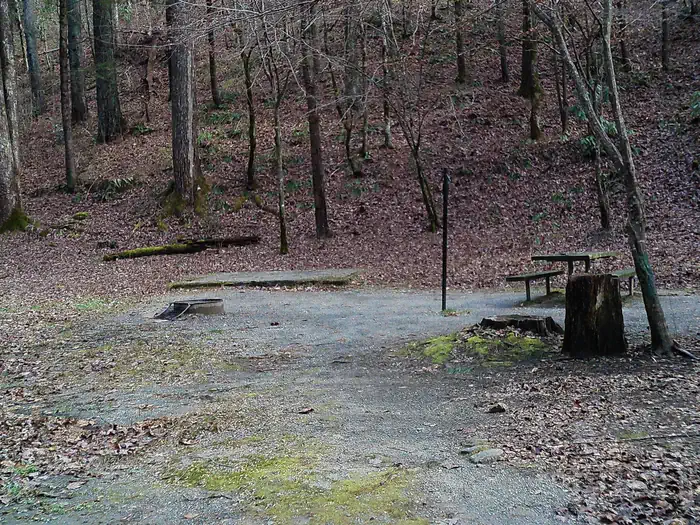 Tate Branch Campground