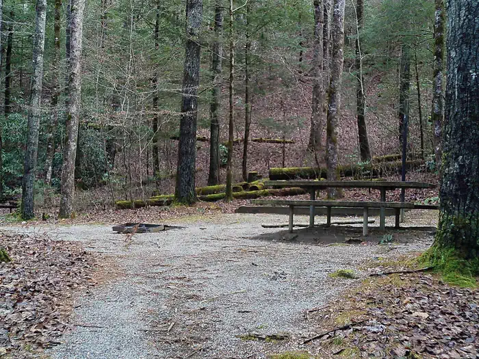 Tate Branch Campground