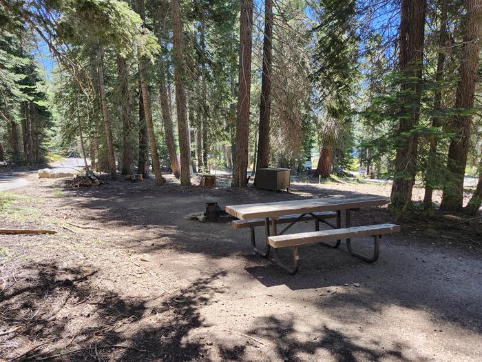 Kinnikinnick - Sierra NF