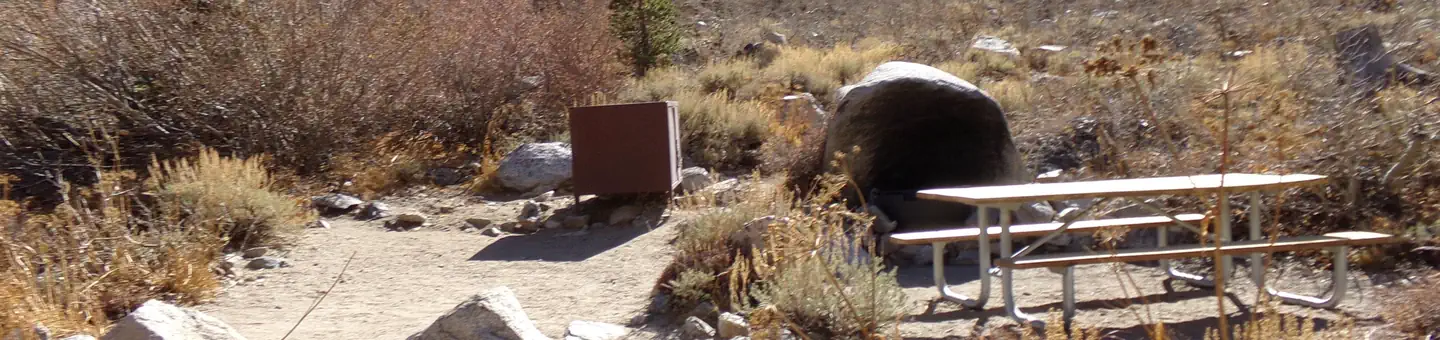 Onion Valley