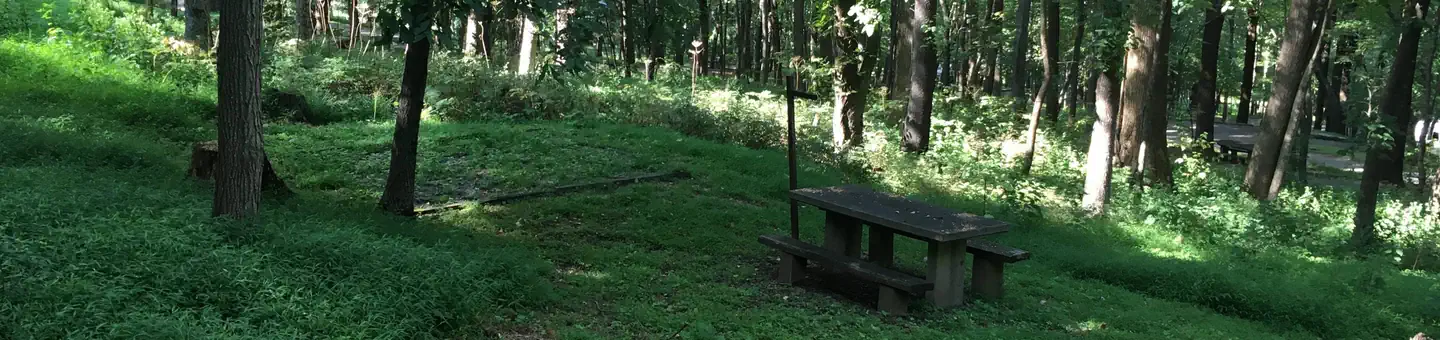 Peaks Of Otter Campground