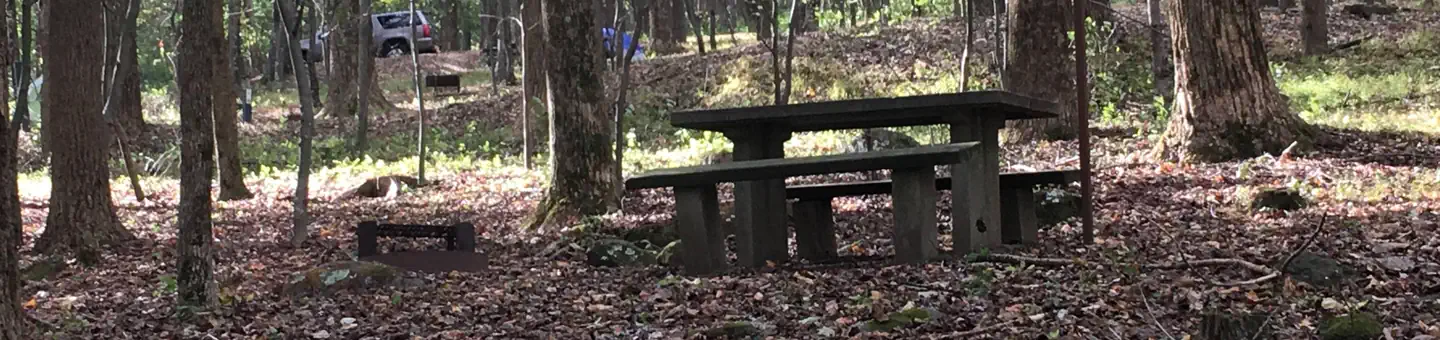 Peaks Of Otter Campground
