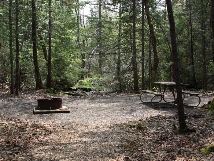 Seawall Campground