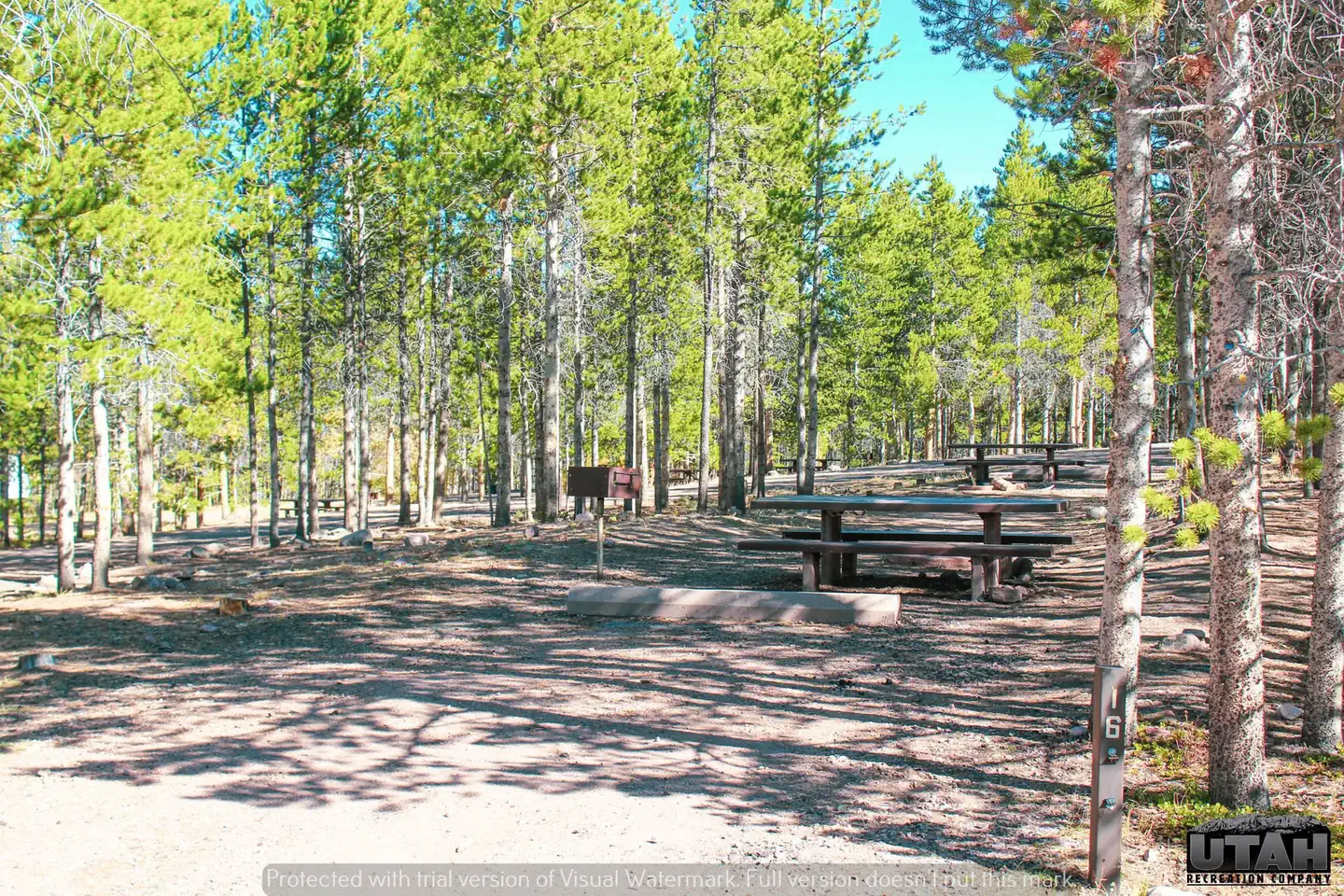 Stateline Campground