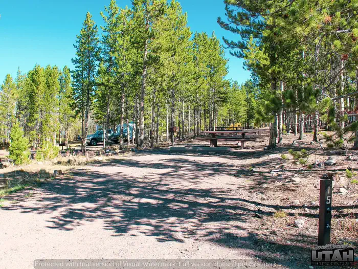 Stateline Campground