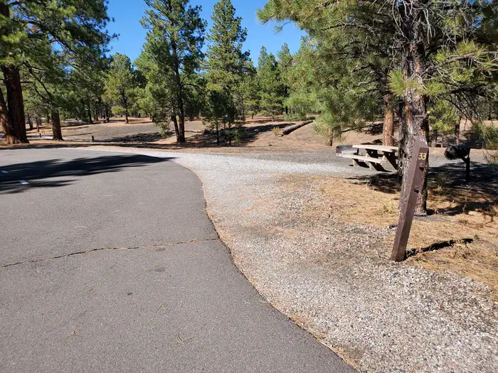 Bonito Campground (az) - Sunset Crater National Monument