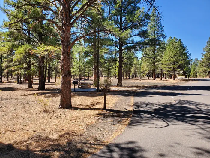 Bonito Campground (az) - Sunset Crater National Monument