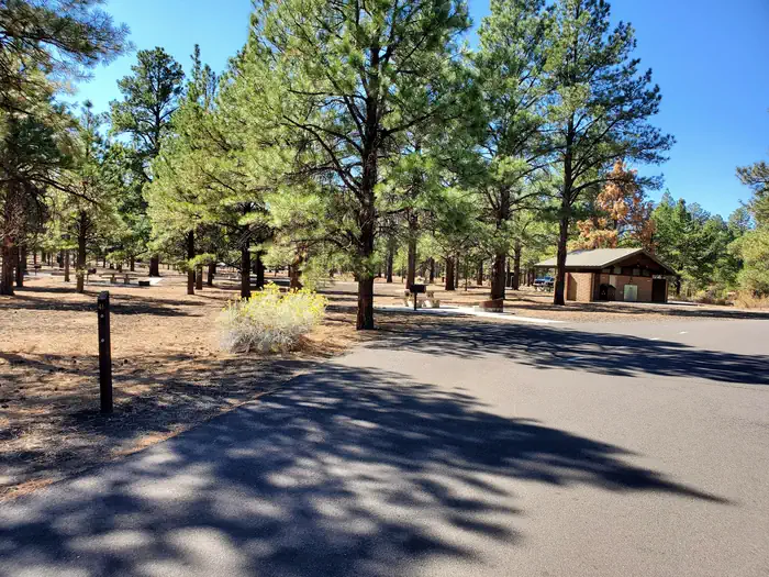 Bonito Campground (az) - Sunset Crater National Monument