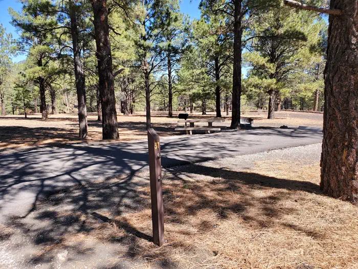 Bonito Campground (az) - Sunset Crater National Monument