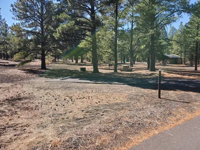 Bonito Campground (az) - Sunset Crater National Monument