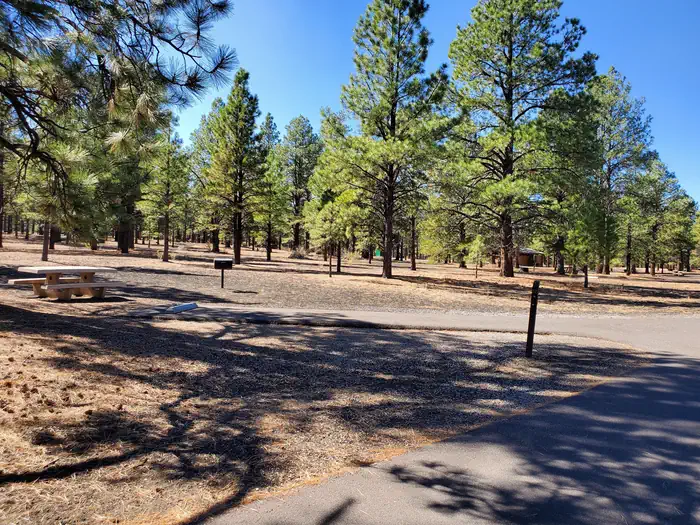Bonito Campground (az) - Sunset Crater National Monument