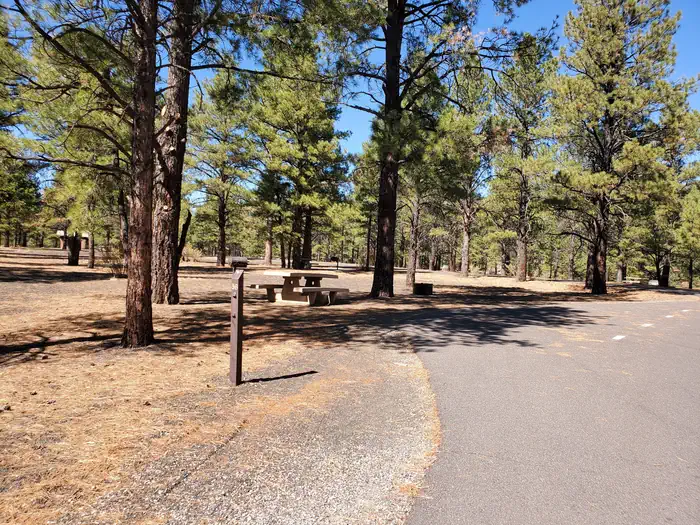 Bonito Campground (az) - Sunset Crater National Monument