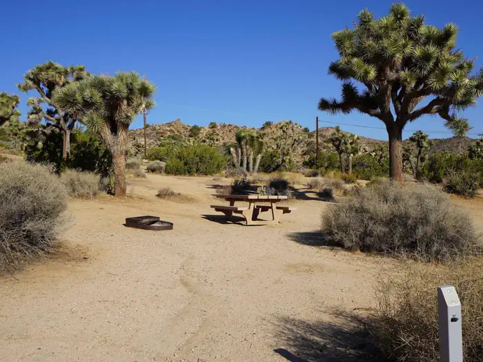 Black Rock Equestrian Campground - Joshua Tree