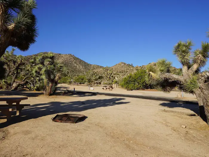 Black Rock Equestrian Campground - Joshua Tree