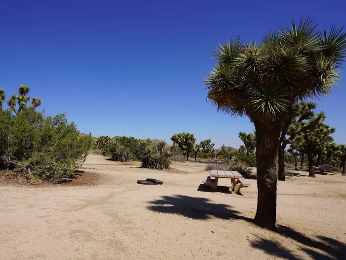 Black Rock Equestrian Campground - Joshua Tree